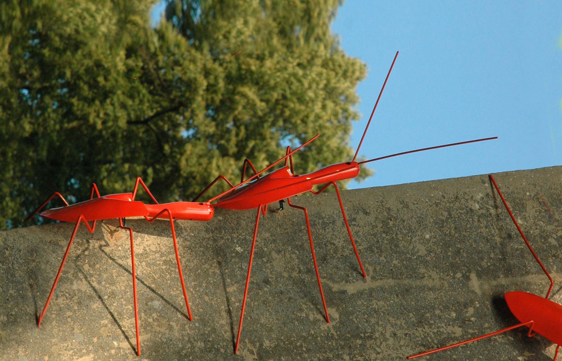 Intraregionale 2026 Vorschau